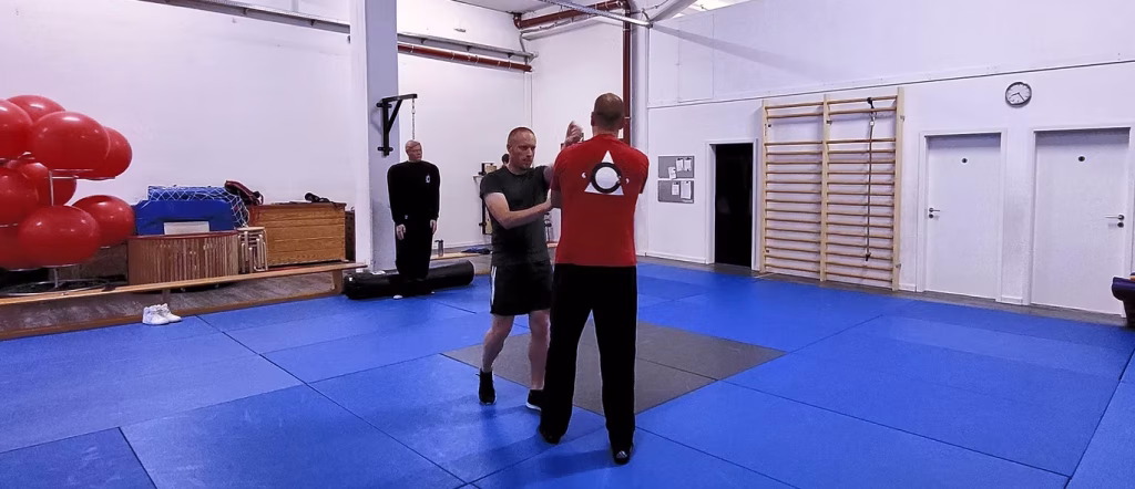 Zwei Personen in einem Kampfsporttraining, eine Person trägt ein rotes Shirt mit einem Symbol.