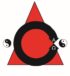 Logo Wing Chun Braunschweig.